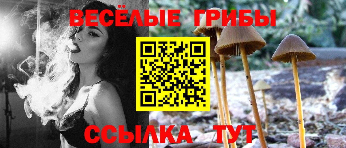Братск  Галлюциногенные грибы мухоморы  Вход с VPN 
